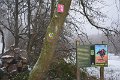 Wandertag 2017 - 066